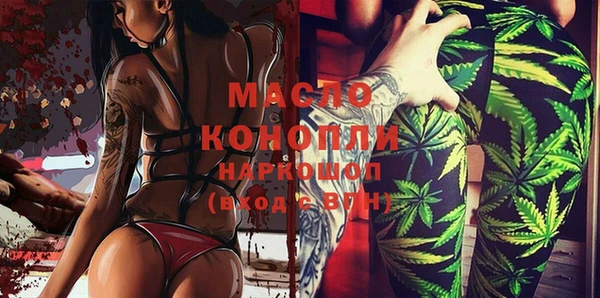 шишки Медвежьегорск