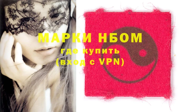 шишки Медвежьегорск