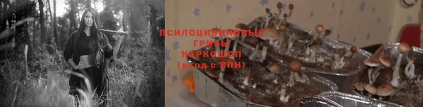 шишки Медвежьегорск