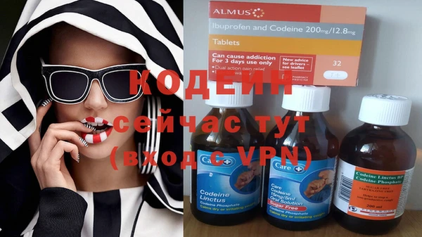 шишки Медвежьегорск
