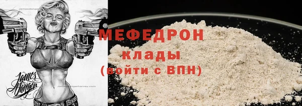 шишки Медвежьегорск