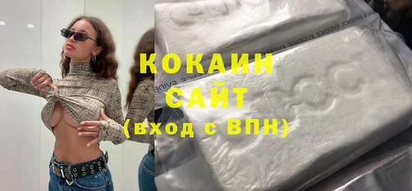 шишки Медвежьегорск